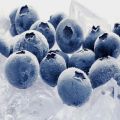Kaip tinkamai užšaldyti mėlynes žiemai namuose šaldytuve