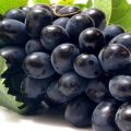 Fördelar och nackdelar med Charlie-druvor, sortbeskrivning och odling