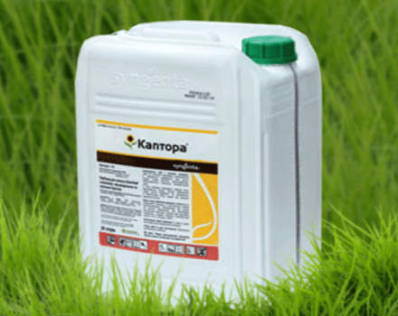 Instruccions d’ús de l’herbicida de Kaptora i la taxa de consum