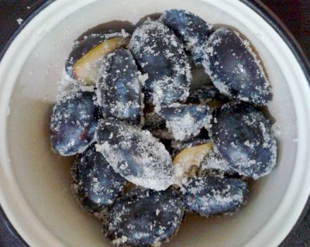 Est-il possible de congeler des prunes pour l'hiver et comment le faire correctement au congélateur, avec du sucre et avec un os