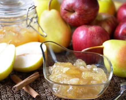 TOP 7 Rezepte für die Herstellung von Birnen- und Apfelmarmelade für den Winter