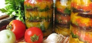 9 najlepších receptov na výrobu arménskeho občerstvenia na zimu