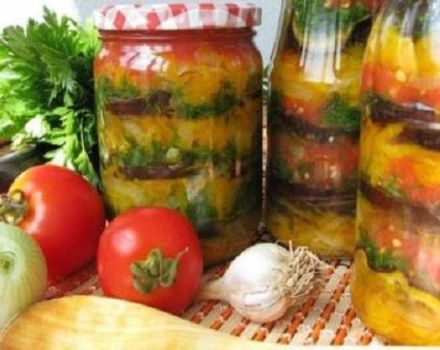 9 bedste opskrifter til fremstilling af armenske snacks til vinteren