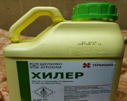 Herbicido „Healer“ naudojimo instrukcijos ir veikimo mechanizmas, suvartojimo normos