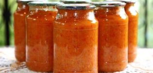 TOP 9-recept för matlagning squashkaviar med tomater för vintern