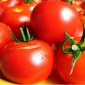 Hvornår planter man tomater til frøplanter i Ukraine i 2020