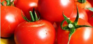 Khi nào trồng cà chua để lấy cây con ở Ukraine vào năm 2020
