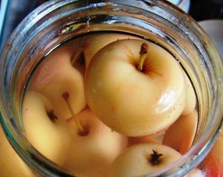 TOP 2 receptes ābolu kompota ar kanēli pagatavošanai ziemai