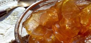 Step-by-step recipe for transparent jam from Antonovka slices