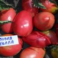 Pomidorų veislės Pink Stella charakteristikos ir aprašymas, derlius
