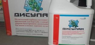 Upute za uporabu herbicida Disulam, mehanizam djelovanja i brzine potrošnje
