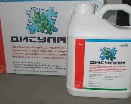 Utasítás a herbicid Disulam használatához, a hatásmechanizmus és a fogyasztás mértéke
