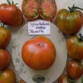 Beschreibung des rostigen Herzens der Tomatensorte Everett und ihrer Eigenschaften