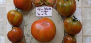 Beskrivning av tomatsorten Everetts rostiga hjärta och dess egenskaper