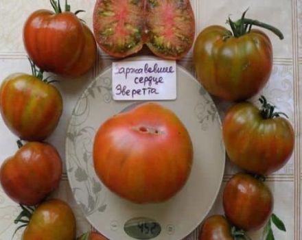 Beskrivning av tomatsorten Everetts rostiga hjärta och dess egenskaper