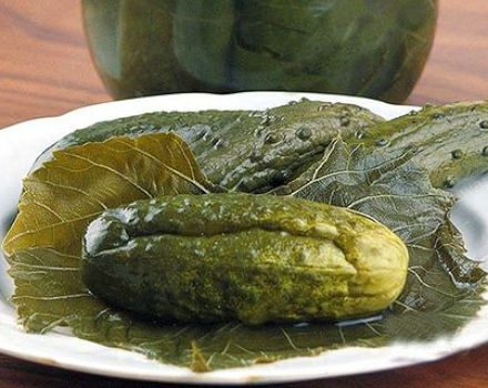 A simple recipe for pickling cucumbers in grape leaves for the winter