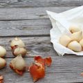 Hur och hur man bearbetar tulpaner före plantering på hösten och om det ska göras