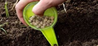 Како и када правилно посадити грашак са семенкама у отворено тло