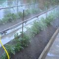 Gör-det-själv automatisk växthusvattensystem