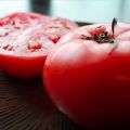 Eigenschaften und Beschreibung der Katya-Tomatensorte, deren Ertrag