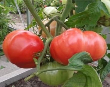 Kuvaus jälkiruoka-vaaleanpunaisesta tomaatista, viljelyominaisuudet ja arvostelut