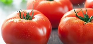 Χαρακτηριστικά και περιγραφή της ποικιλίας ντομάτας Φράουλα Επιδόρπιο, η απόδοσή της