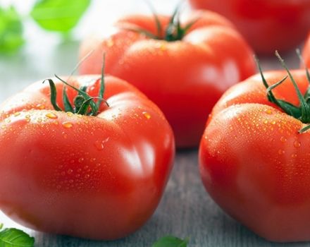 Χαρακτηριστικά και περιγραφή της ποικιλίας ντομάτας Φράουλα Επιδόρπιο, η απόδοσή της