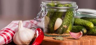 10 geriausių marinuotų agurkų su garstyčių sėklomis receptų žiemai, su sterilizavimu ir be jo