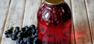 Eenvoudige recepten om thuis druivencompote voor de winter te maken op een pot van 3 liter