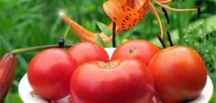 Pomidorų veislių Sibiryak, Sibiryachok ir Mamin Sibiryak charakteristikos ir aprašymas, jų derlius