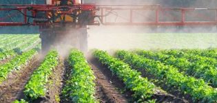 Instructies voor gebruik en werkingsspectrum van herbiciden, variëteiten en beschrijving van de beste