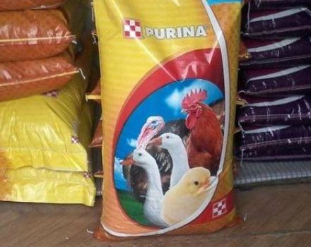 Viščiukų broilerių „Purina“ kombinuotųjų pašarų šėrimo taisyklės