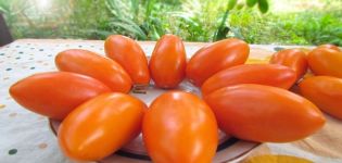 Descripción de la variedad de tomate Elisha y sus características