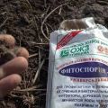 Istruzioni per l'utilizzo del fertilizzante Fitosporin in giardino