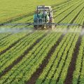 Instrucciones de uso del herbicida de acción continua Grader