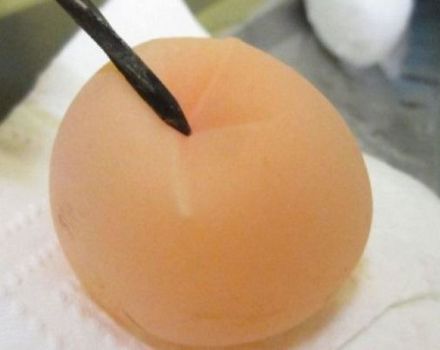 Dėl kokių priežasčių vištos gali dėti kiaušinius be lukštų ir ką su tuo daryti