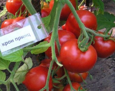 Cron Prince tomātu šķirnes un tās īpašību apraksts