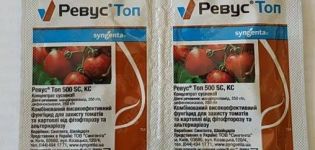 Mga tagubilin para sa paggamit ng fungicide Revus Top at ang mekanismo ng pagkilos