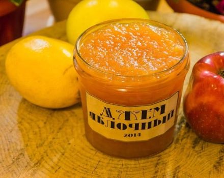 Simple recipes for making apple jam at home for the winter