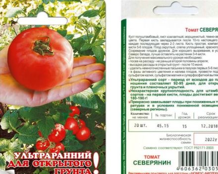 Beskrivning av tomatsorten Severyanin och dess egenskaper