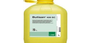 Instruktioner för användning av herbicid Butisan 400, konsumtionshastigheter och analoger
