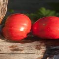 Beskrivning av tomatsorten Stilig köttig och dess egenskaper