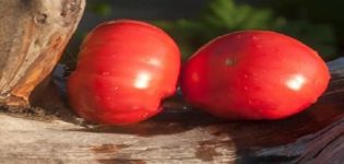 Beskrivning av tomatsorten Stilig köttig och dess egenskaper