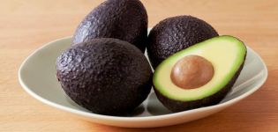 Beschrijving en geschiedenis van de selectie van de Haas-avocadovariëteit, toepassing en hoe deze verschilt van de gebruikelijke