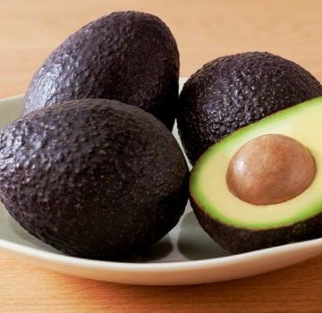 Description and history of selection of the Haas avocado variety, application and how it differs from usual