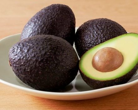 Description and history of selection of the Haas avocado variety, application and how it differs from the usual