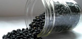 Užitočné a škodlivé vlastnosti čiernej fazule pre zdravie, opis odrôd