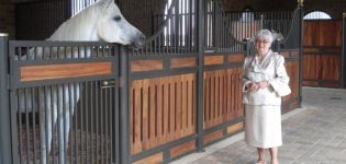 Hur man bygger och utrustar stall för hästar, dimensioner och scheman i en stall
