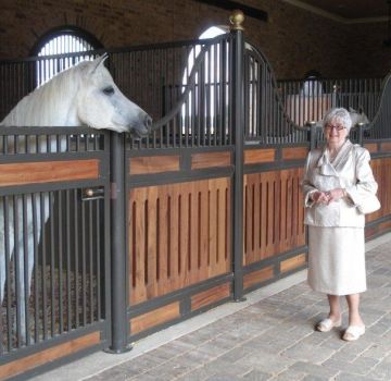 How to build and equip stables for horses, dimensions and schemes of a stable