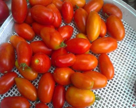 Pomidorų veislės „Superbanan“ aprašymas ir jos savybės